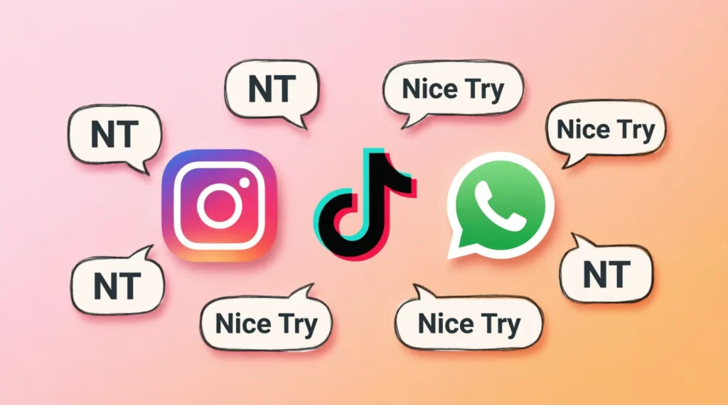 What Does NT Meaning Mean?