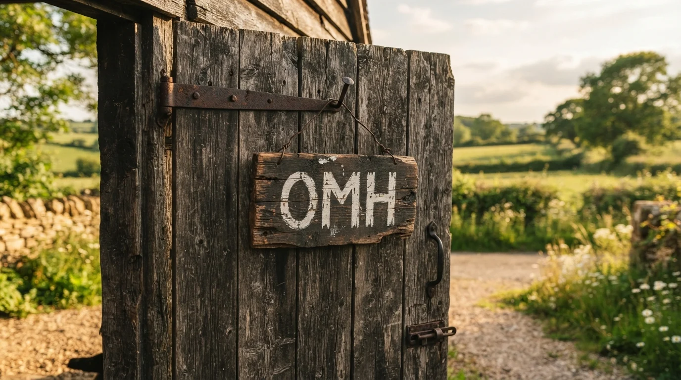 What Does OMH Mean in Text? Real Meaning, Examples